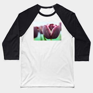 Tulipa  &#39;Jackpot&#39;    Triumph Group  Tulip Baseball T-Shirt